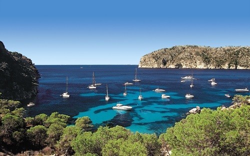 TopSeller Mallorca